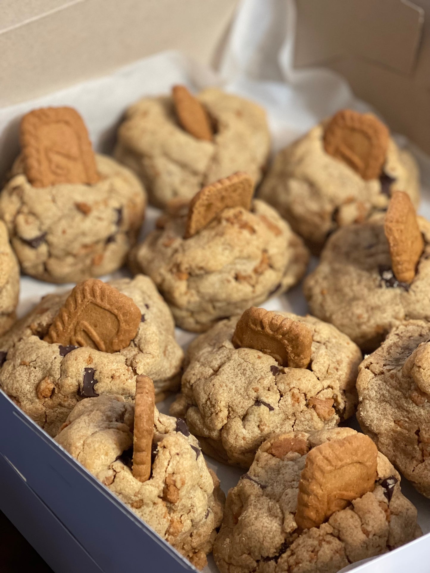 JUMBO BISCOFF COOKIES