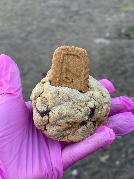 JUMBO BISCOFF COOKIES